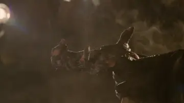 Zasłona do filmu "Indiana Jones i Królestwo Kryształowej Czaszki" #1723919
