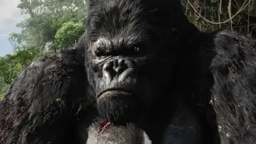 Zasłona do filmu "King Kong" #256306