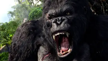 Zasłona do filmu "King Kong" #256311