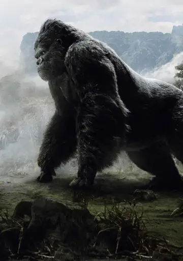 Plakat do filmu "King Kong" #256321