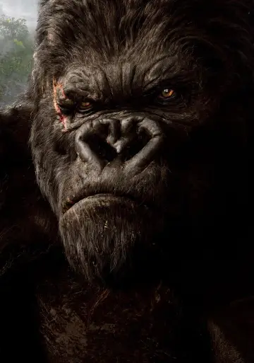 Plakat do filmu "King Kong" #256323