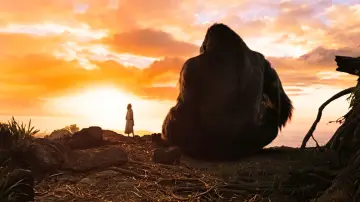 Zasłona do filmu "King Kong" #619969