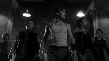 Zasłona do filmu "Rumble Fish" #248935