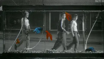 Zasłona do filmu "Rumble Fish" #248938