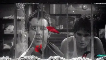 Zasłona do filmu "Rumble Fish" #720939