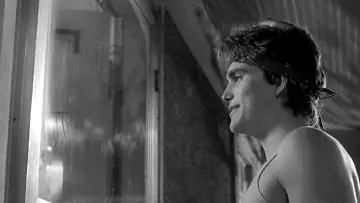 Zasłona do filmu "Rumble Fish" #720963