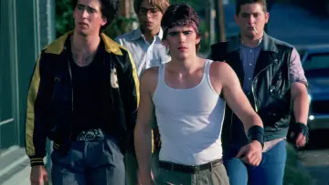 Zasłona do filmu "Rumble Fish" #992868