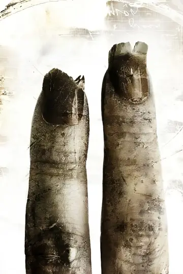 Plakat do filmu "Piła II" #316583