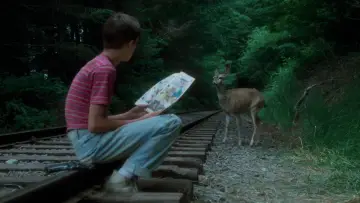 Zasłona do filmu "Stań przy mnie" #603554
