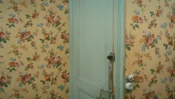 Zasłona do filmu "Skradzione pocałunki" #1801995