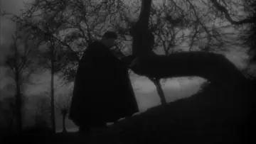 Zasłona do filmu "Gabinet doktora Caligari" #900973