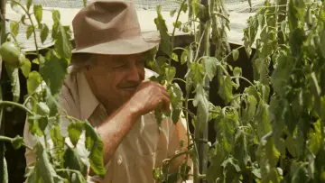 Zasłona do filmu "Ojciec chrzestny" #518677