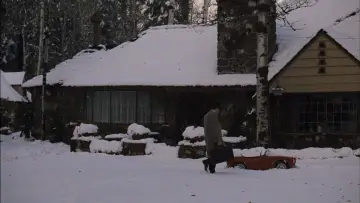 Zasłona do filmu "Ojciec chrzestny II" #749051