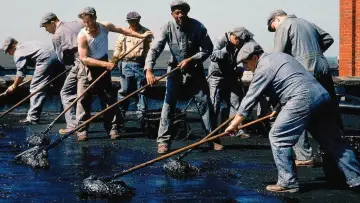 Zasłona do filmu "Skazani na Shawshank" #165527