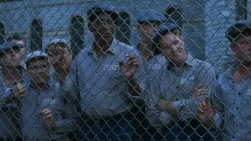 Zasłona do filmu "Skazani na Shawshank" #517322