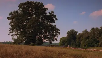 Zasłona do filmu "Skazani na Shawshank" #827274