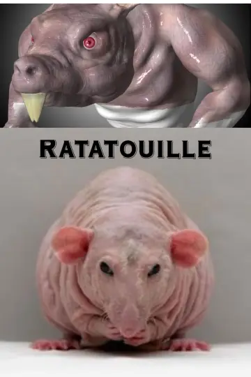 Plakat do filmu "Ratatuj" #12564