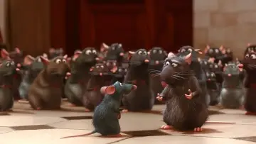 Zasłona do filmu "Ratatuj" #561536