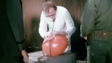 Zasłona do filmu "Atak pomidorów zabójców" #447659