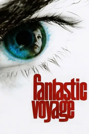 Plakat do filmu "Fantastyczna podróż" #270975
