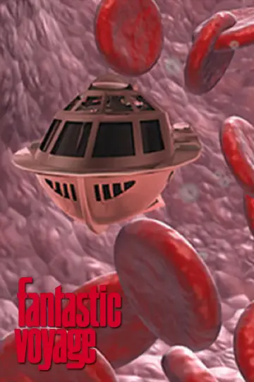 Plakat do filmu "Fantastyczna podróż" #270976