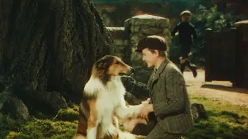 Zasłona do filmu "Lassie wróć" #1097306