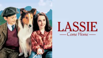 Zasłona do filmu "Lassie wróć" #150182