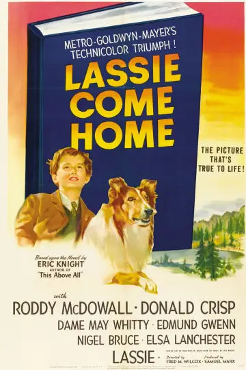 Plakat do filmu "Lassie wróć" #150186