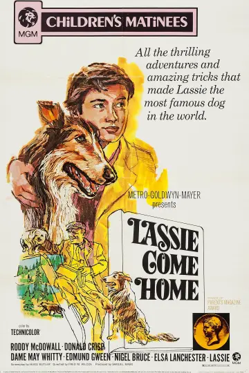 Plakat do filmu "Lassie wróć" #150187