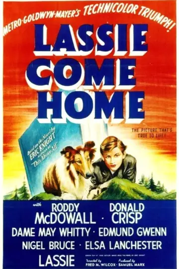 Plakat do filmu "Lassie wróć" #150188