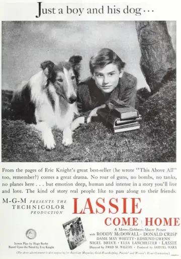 Plakat do filmu "Lassie wróć" #150190