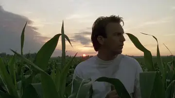 Zasłona do filmu "Pole Marzeń" #239932