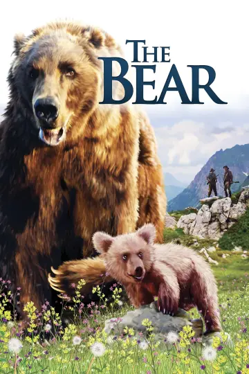 Plakat do filmu "Niedźwiadek" #130071