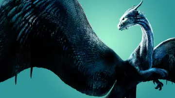 Zasłona do filmu "Eragon" #350294