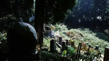 Zasłona do filmu "Krwawa Pani Śniegu" #890288