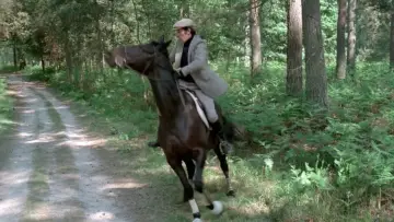Zasłona do filmu "Jak zrobić słonia w trąbę" #1865175