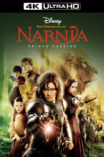 Plakat do filmu "Opowieści z Narnii: Książę Kaspian" #275091