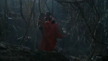 Zasłona do filmu "Narzeczona dla księcia" #202019