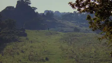 Zasłona do filmu "Narzeczona dla księcia" #962003