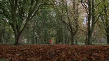 Narzeczona dla księcia