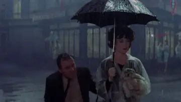 Zasłona do filmu "Słodka Irma" #1632985