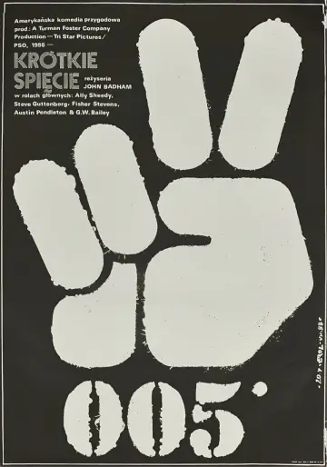 Krótkie Spięcie