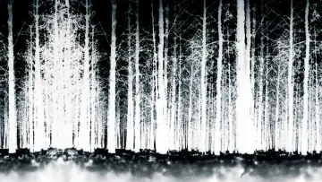 Zasłona do filmu "Blair Witch Project" #372454