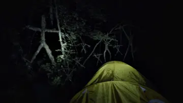 Zasłona do filmu "Blair Witch Project" #372456