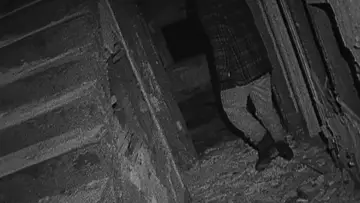 Zasłona do filmu "Blair Witch Project" #372457