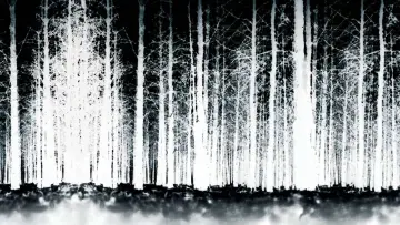 Zasłona do filmu "Blair Witch Project" #372458