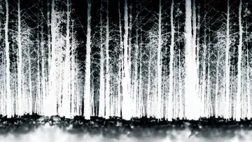 Zasłona do filmu "Blair Witch Project" #372461