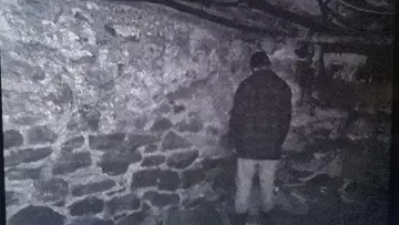 Zasłona do filmu "Blair Witch Project" #841680