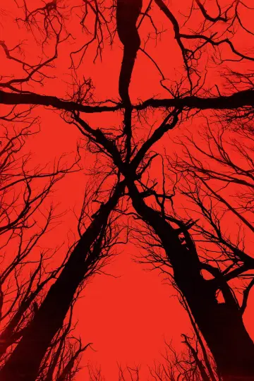 Plakat do filmu "Blair Witch Project" #841684