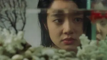 Zasłona do filmu "파란대문" #1121705